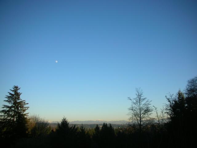 DSCN4481.jpg