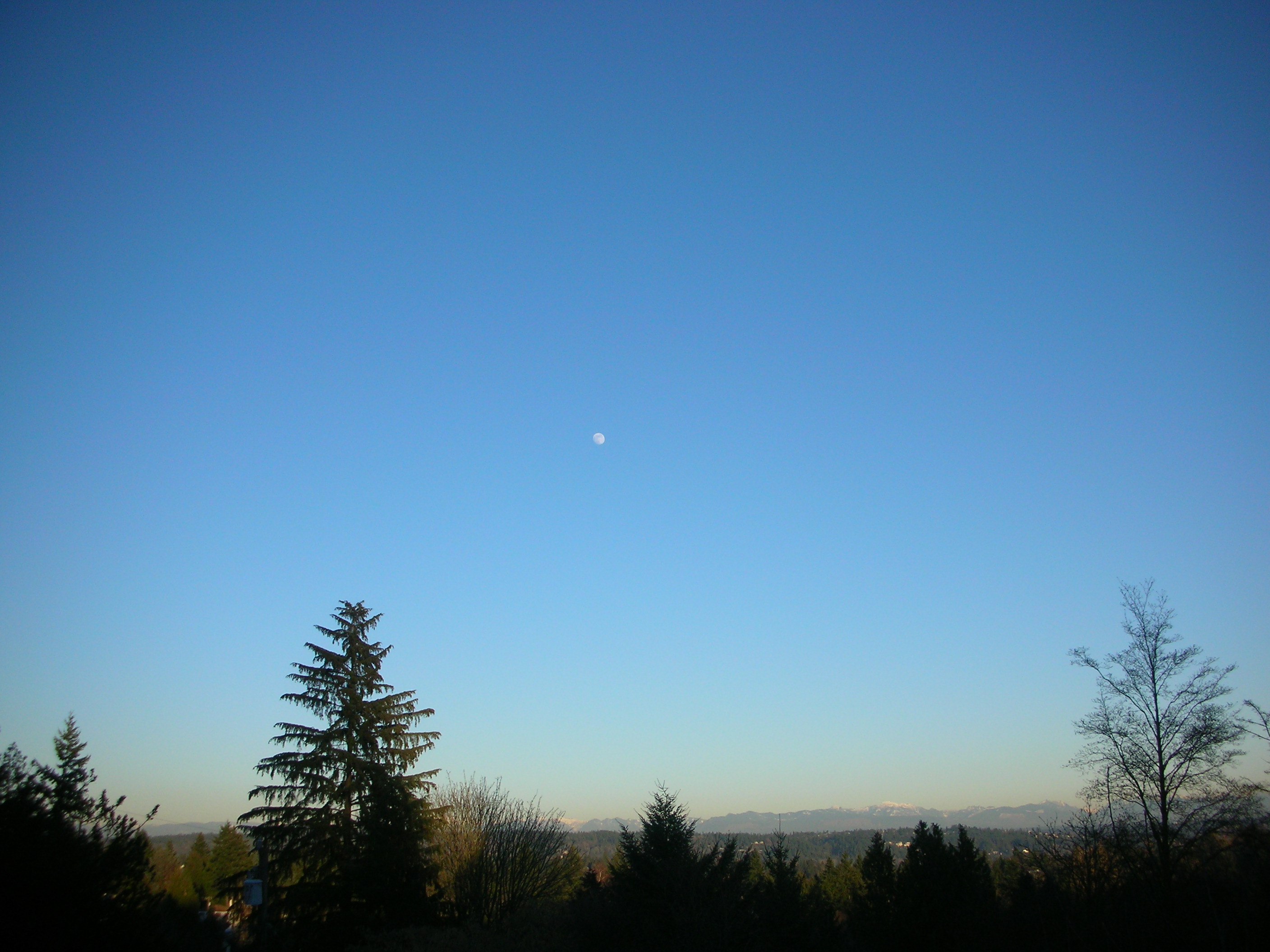 DSCN4482.jpg