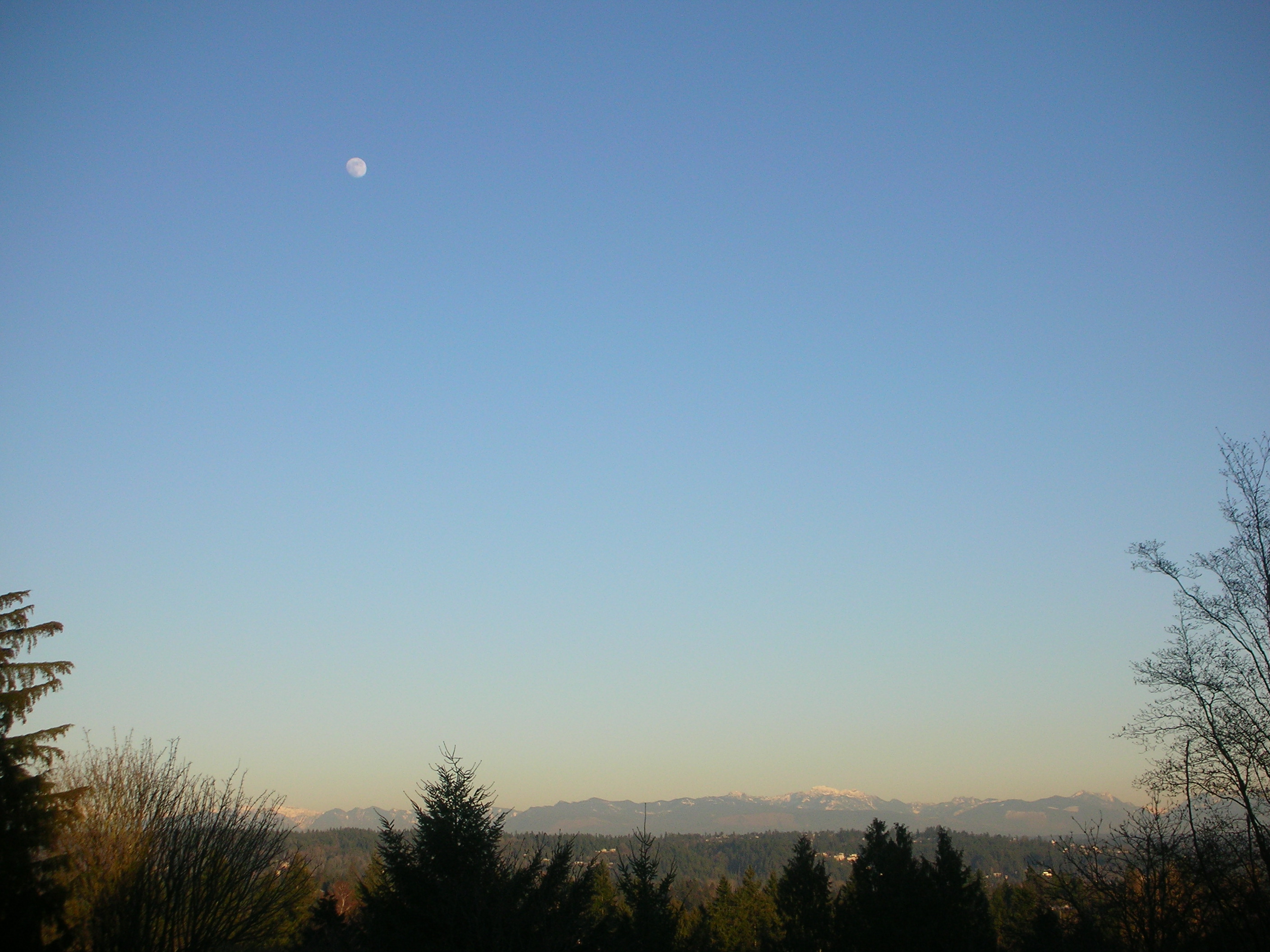 DSCN4483.jpg