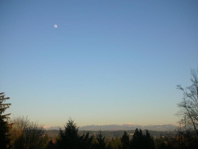 DSCN4483.jpg