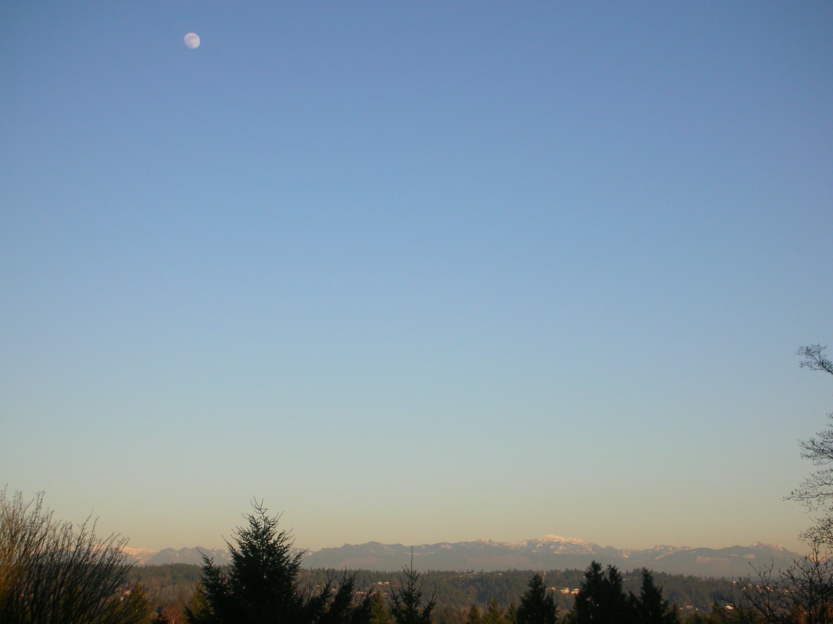 DSCN4484.jpg