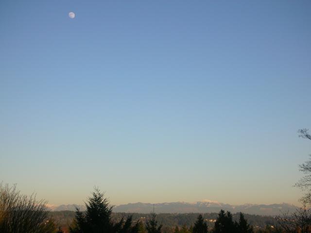 DSCN4484.jpg