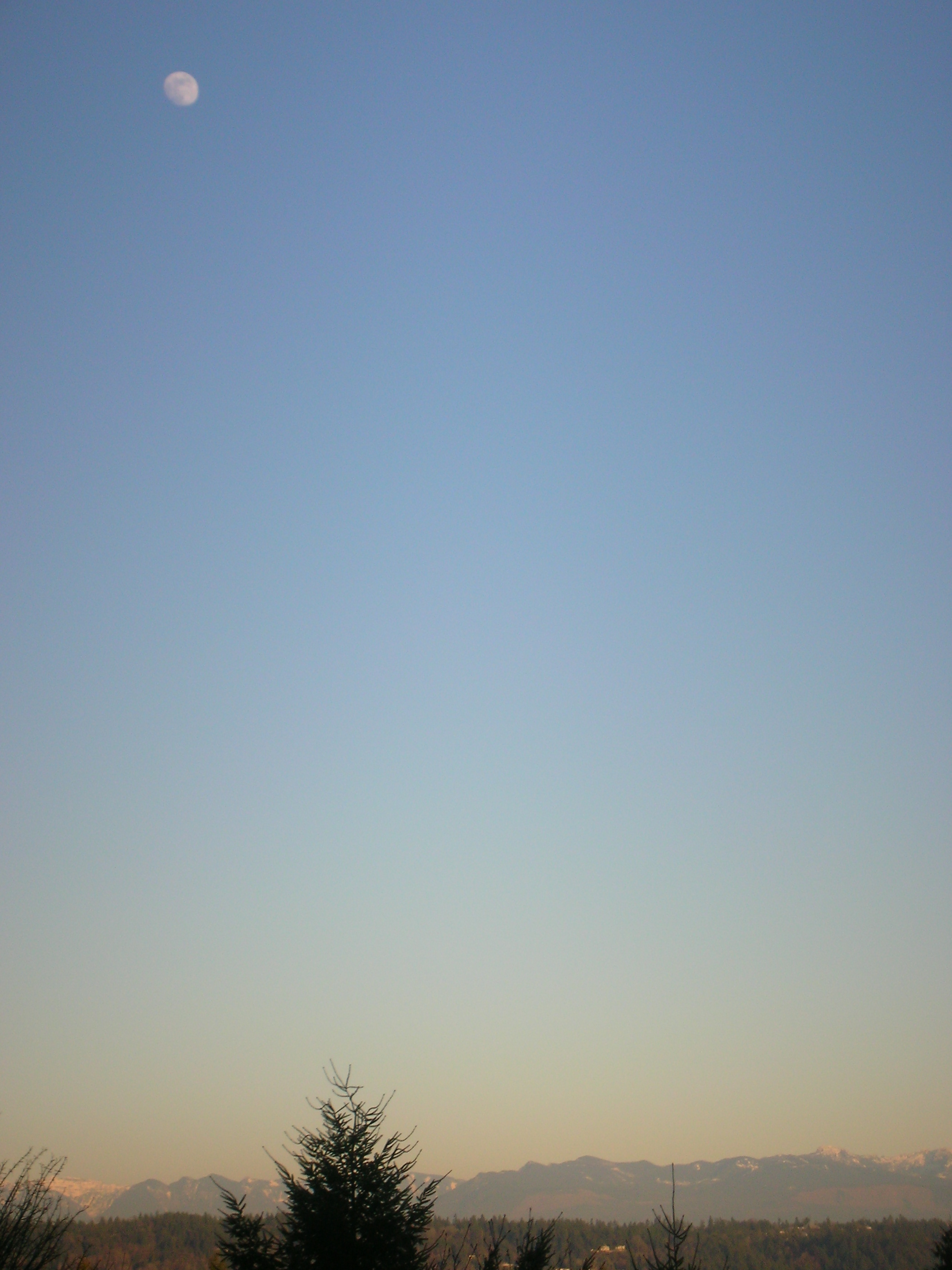 DSCN4485.jpg