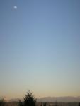 DSCN4485.jpg