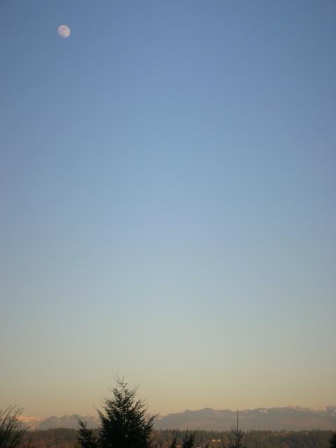 DSCN4485.jpg