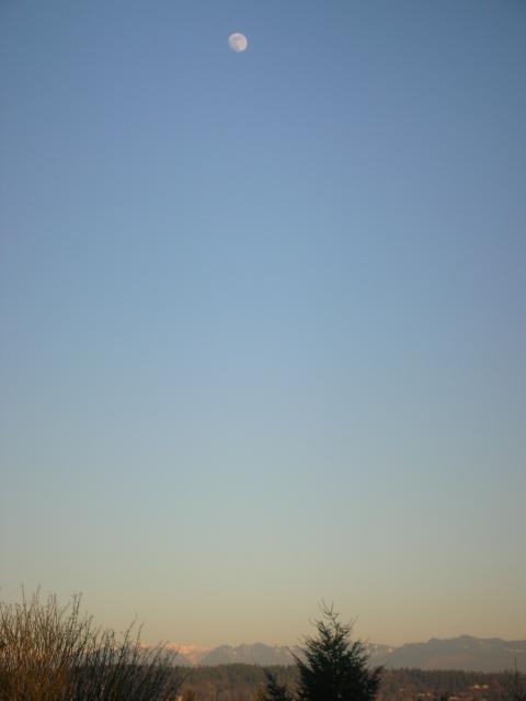 DSCN4486.jpg