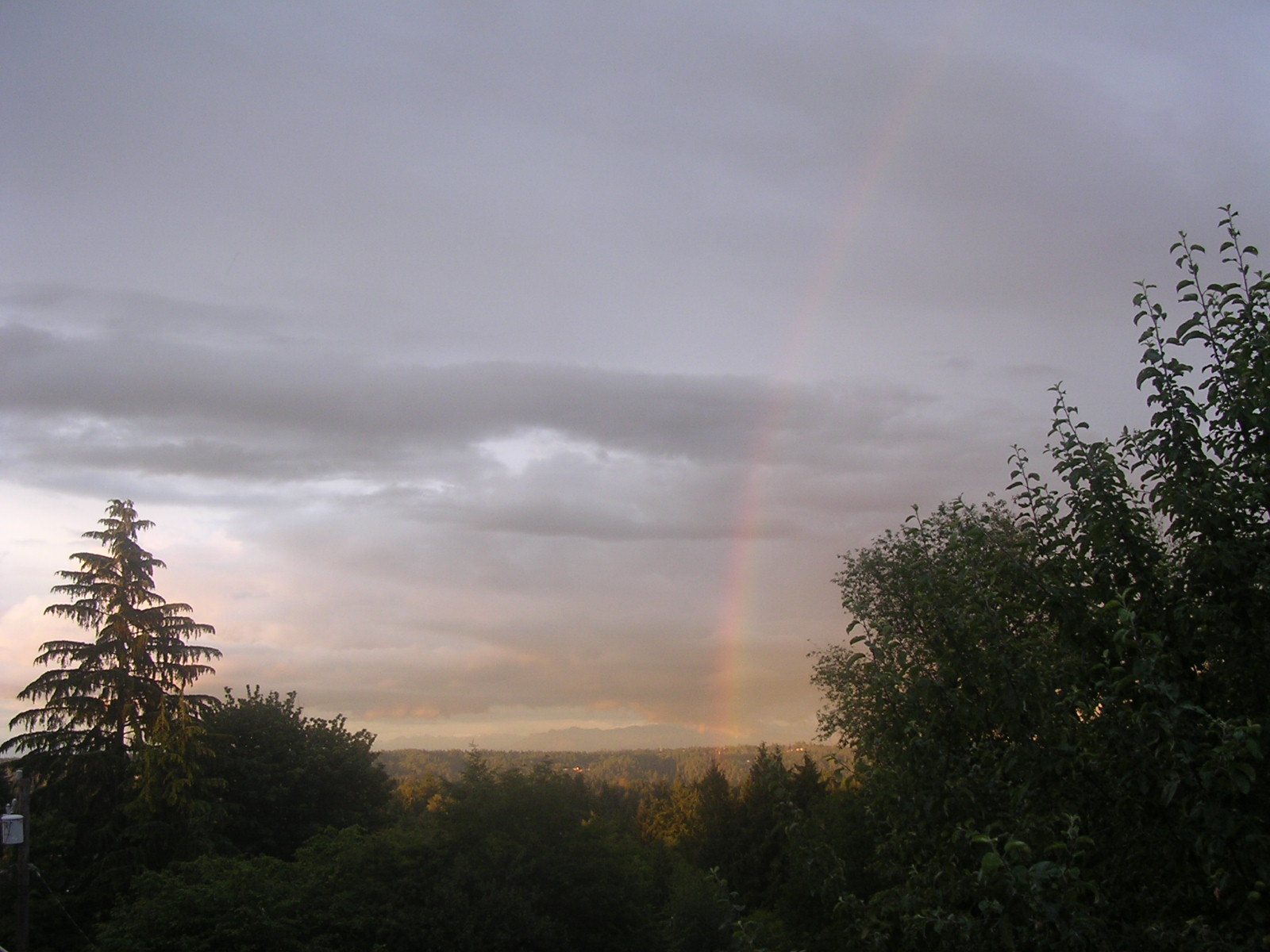 dscn2170.jpg