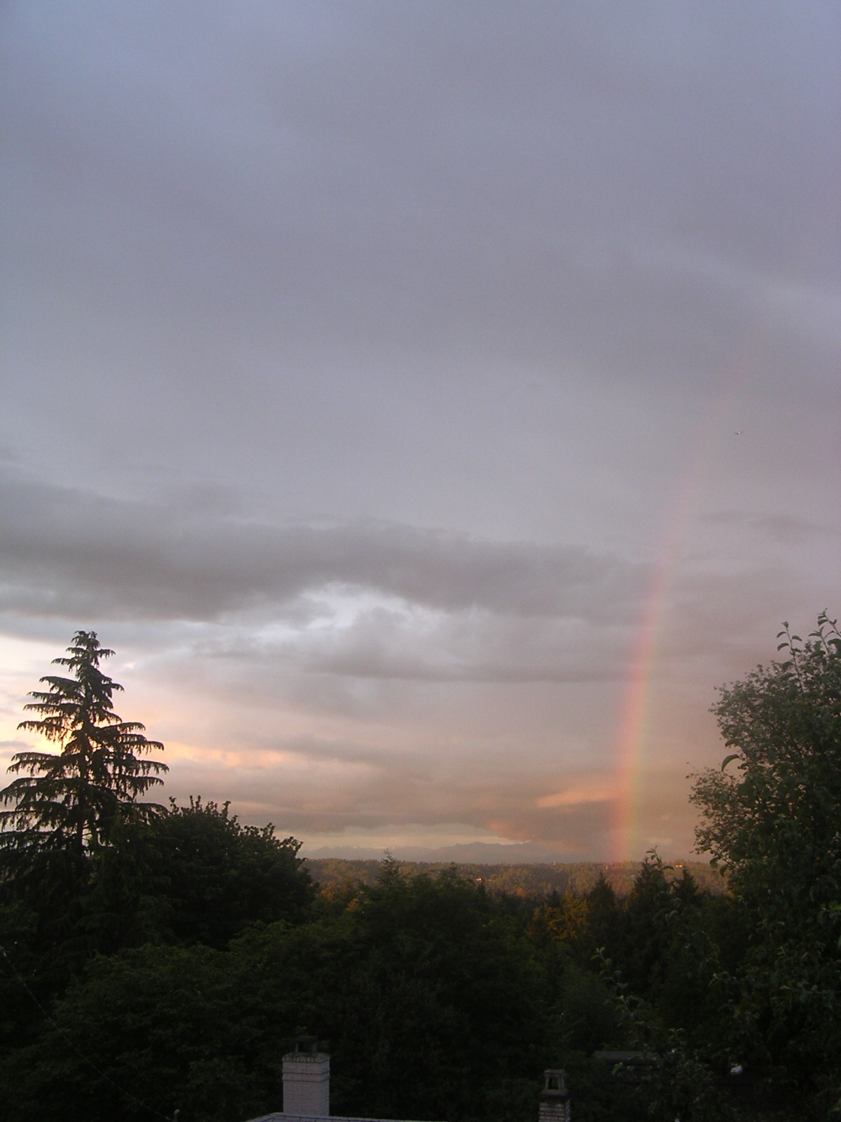 dscn2174.jpg
