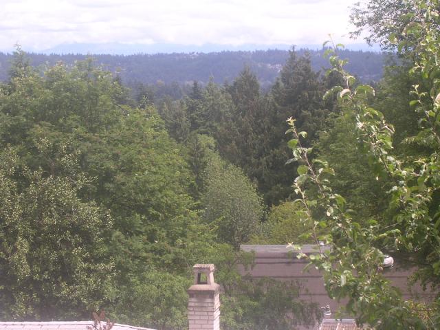 dscn2156.jpg