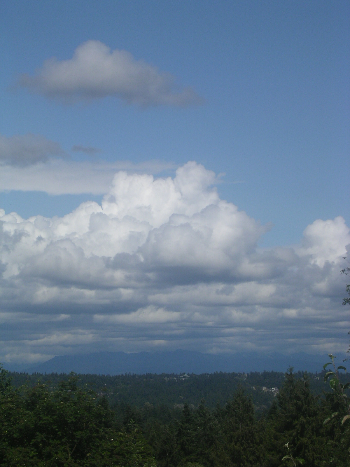 dscn2158.jpg