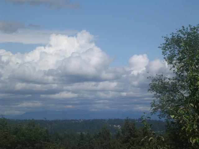 dscn2159.jpg