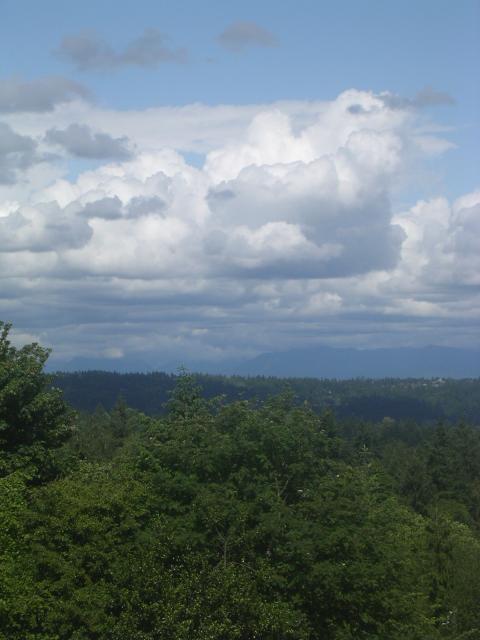 dscn2161.jpg