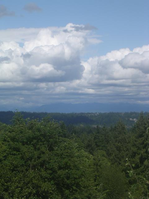 dscn2162.jpg