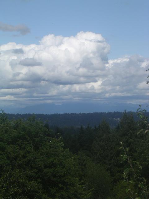 dscn2164.jpg