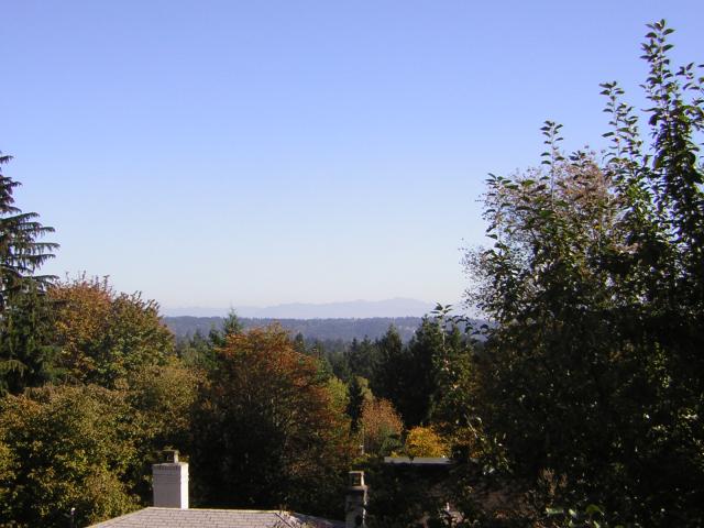 DSCN0502.jpg