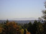 DSCN0503.jpg