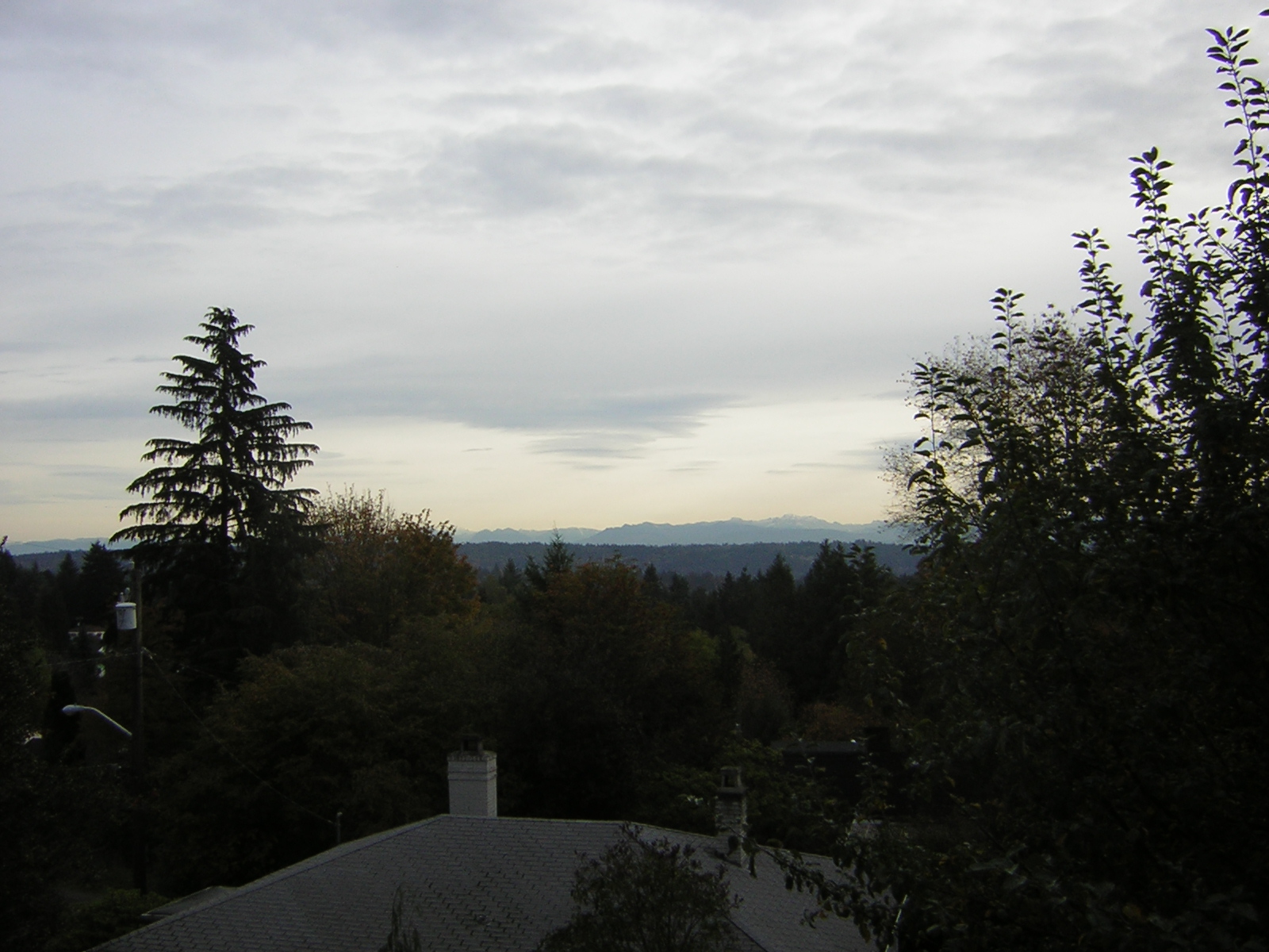 DSCN0523.jpg
