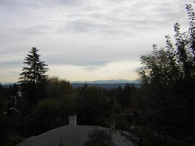 DSCN0523.jpg