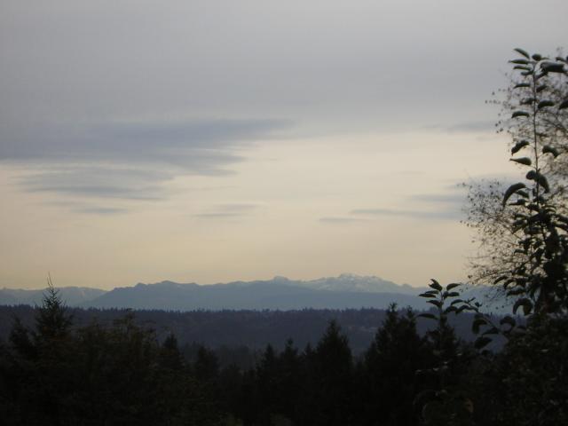 DSCN0524.jpg
