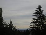 DSCN0525.jpg