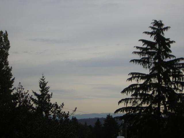 DSCN0525.jpg