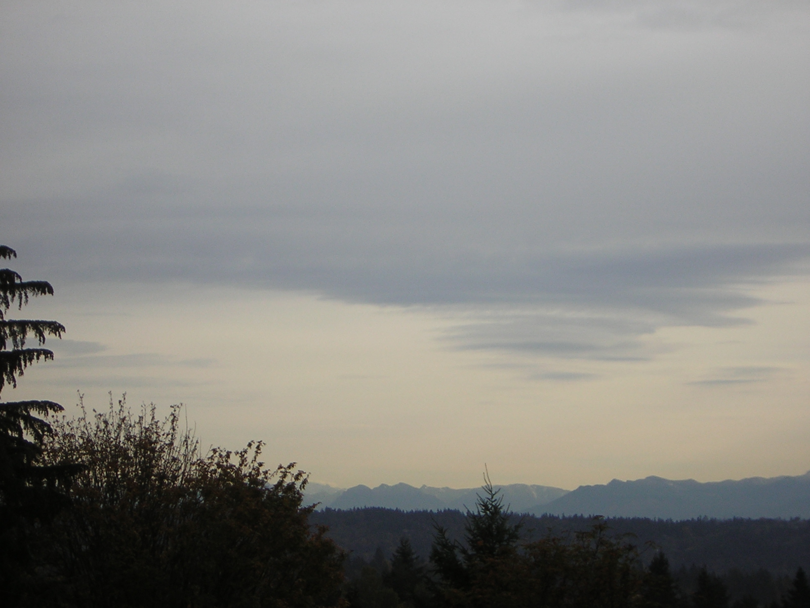 DSCN0526.jpg