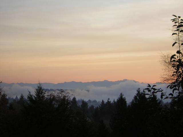 DSCN0545.jpg