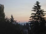 DSCN0546.jpg