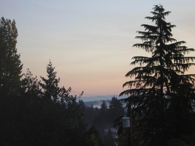 DSCN0546.jpg
