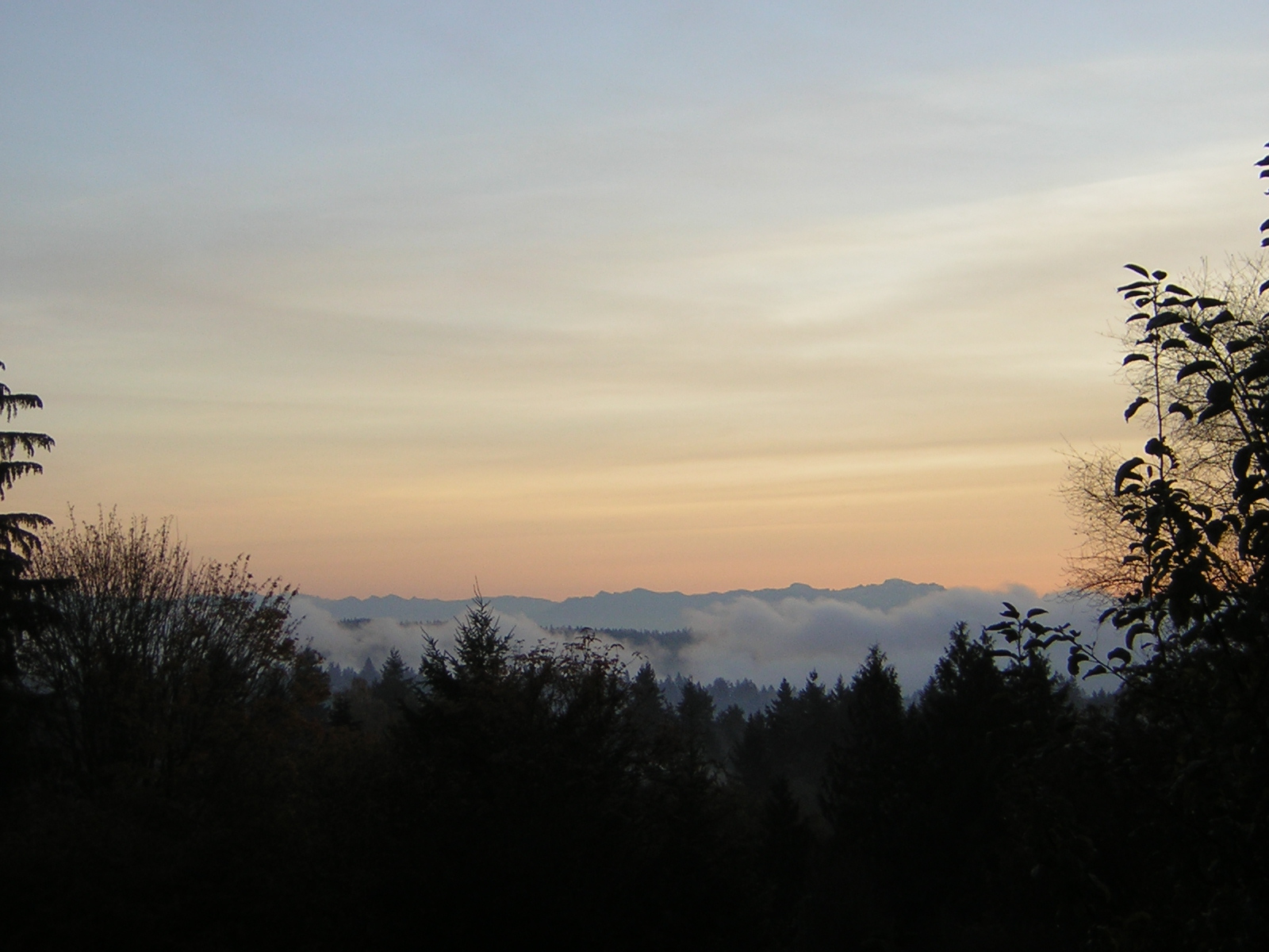 DSCN0547.jpg