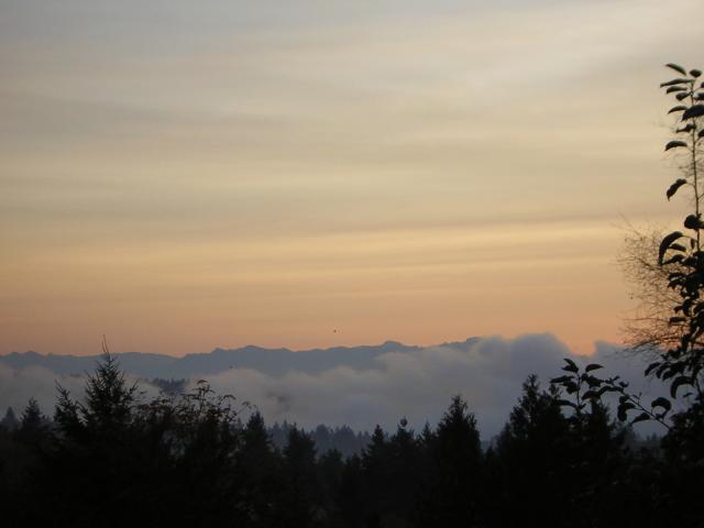 DSCN0548.jpg