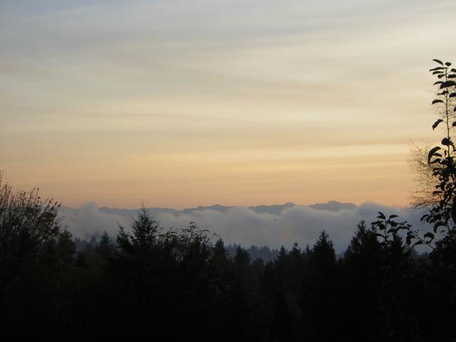 DSCN0549.jpg