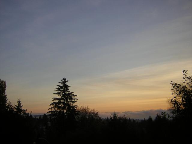 DSCN0551.jpg