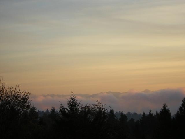 DSCN0553.jpg