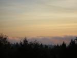 DSCN0554.jpg