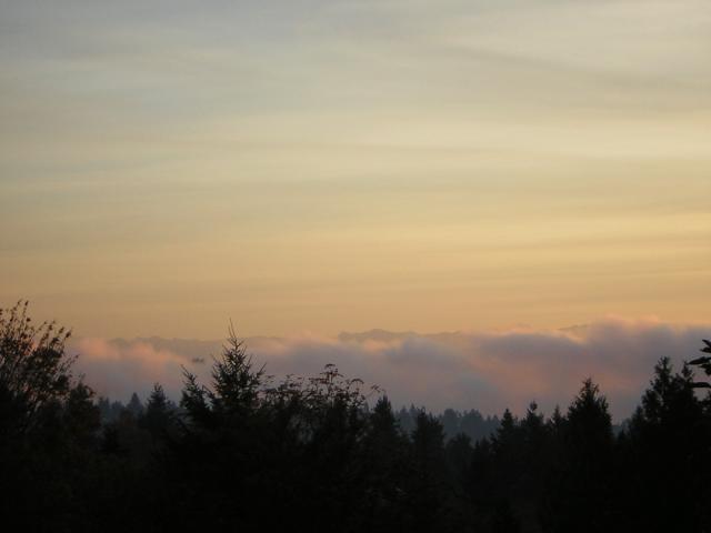 DSCN0554.jpg