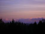 DSCN0555.jpg