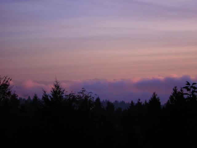 DSCN0555.jpg