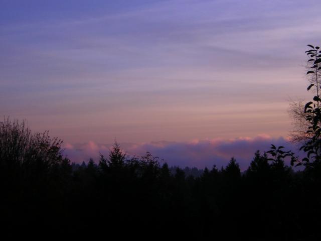 DSCN0556.jpg