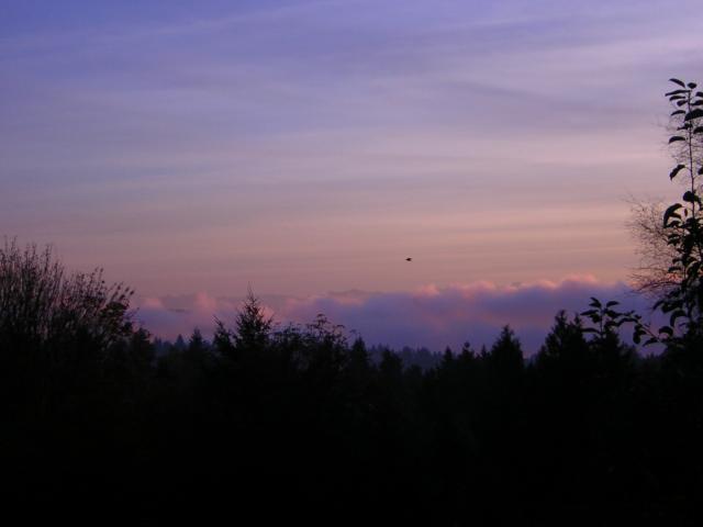 DSCN0557.jpg