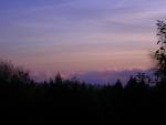 DSCN0558.jpg