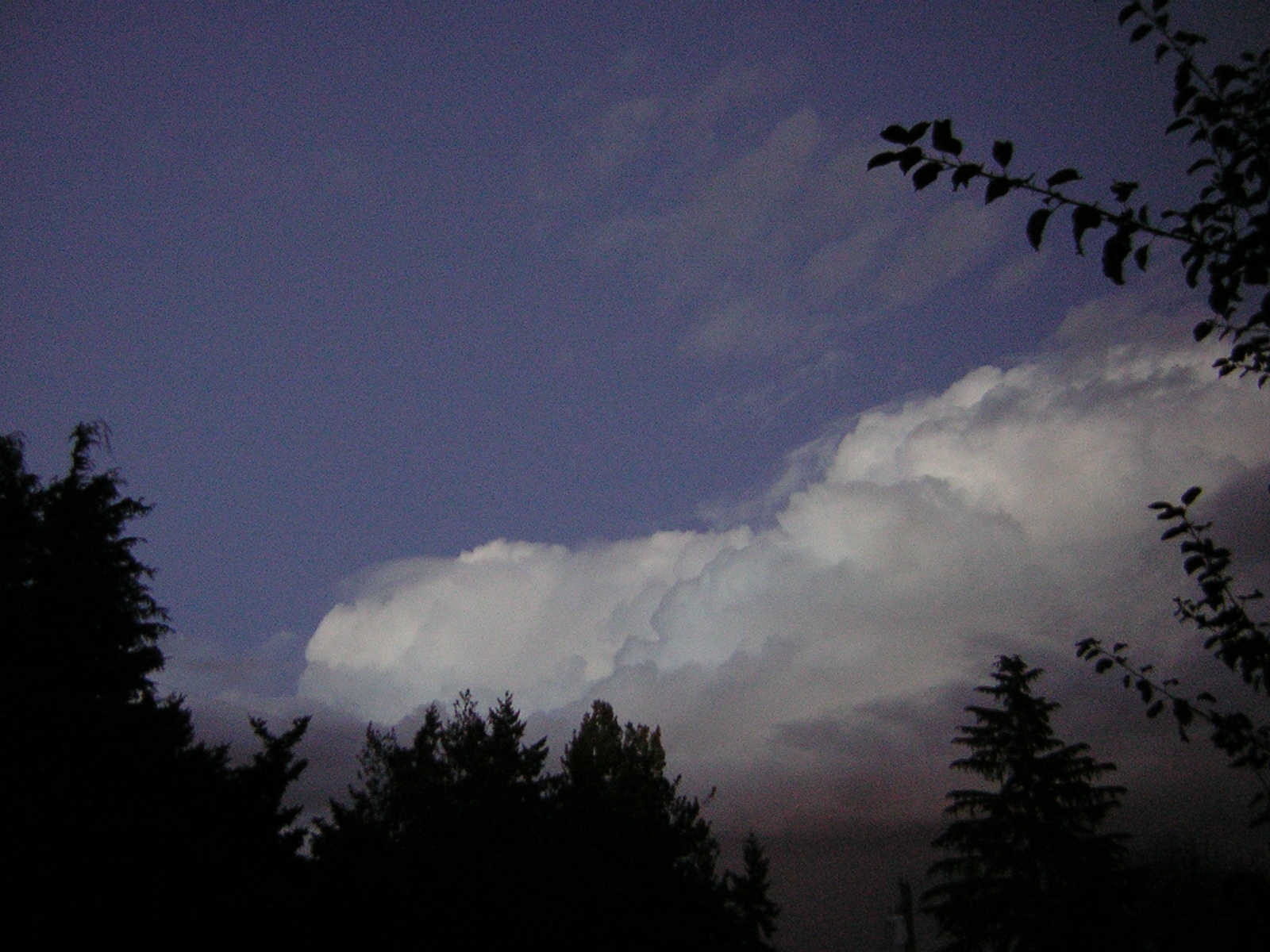 DSCN0536.jpg