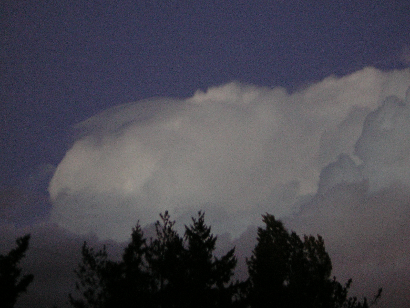 DSCN0537.jpg