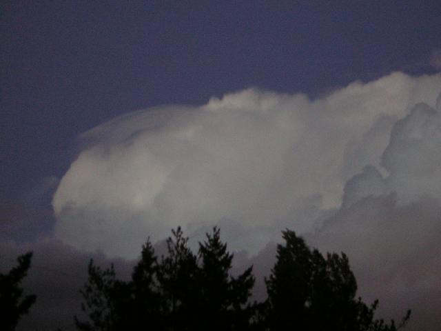 DSCN0537.jpg
