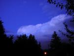 DSCN0538.jpg