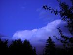 DSCN0539.jpg