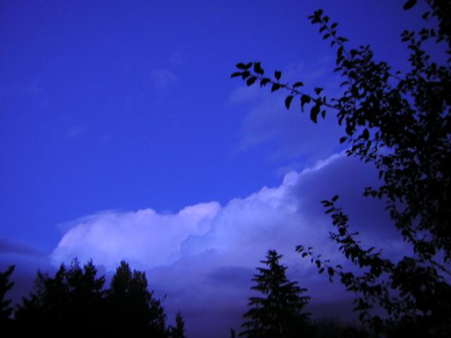 DSCN0540.jpg