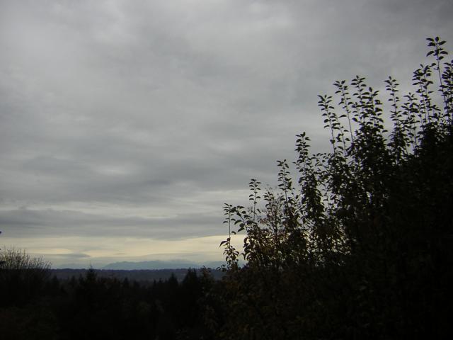 DSCN0634.jpg