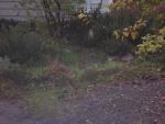 DSCN0635.jpg