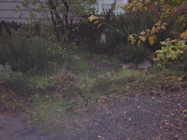 DSCN0635.jpg